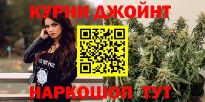 сатива Беслан