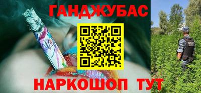 сатива Беслан