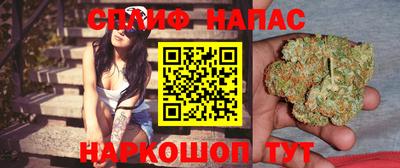 прущие грибы Бийск