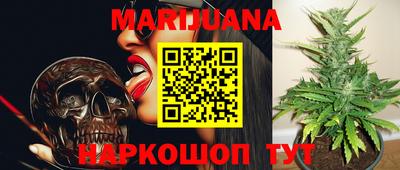 прущие грибы Бийск