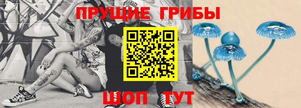 Галлюциногенные грибы прущие грибы  Вход с VPN  Псилоцибиновые грибы MAGIC MUSHROOMS  Верхний Уфалей 