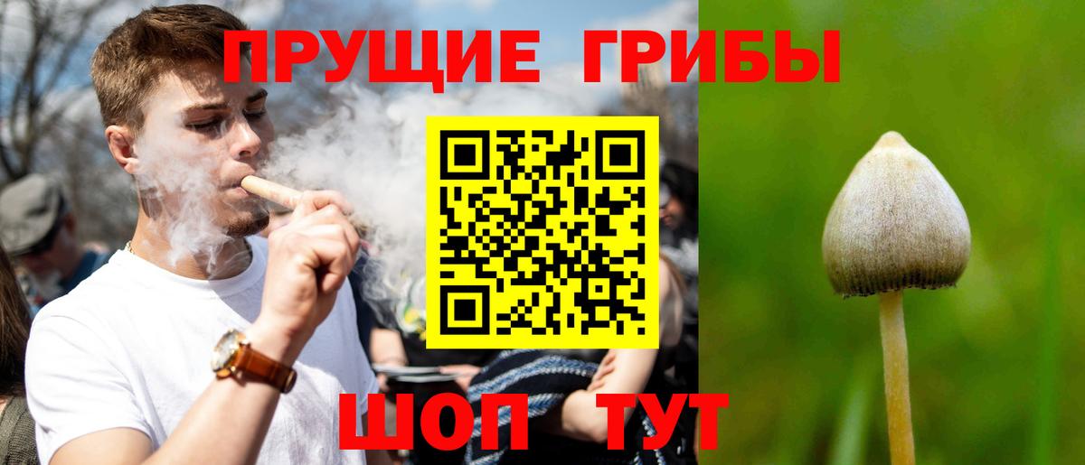 Галлюциногенные грибы MAGIC MUSHROOMS Верхний Уфалей